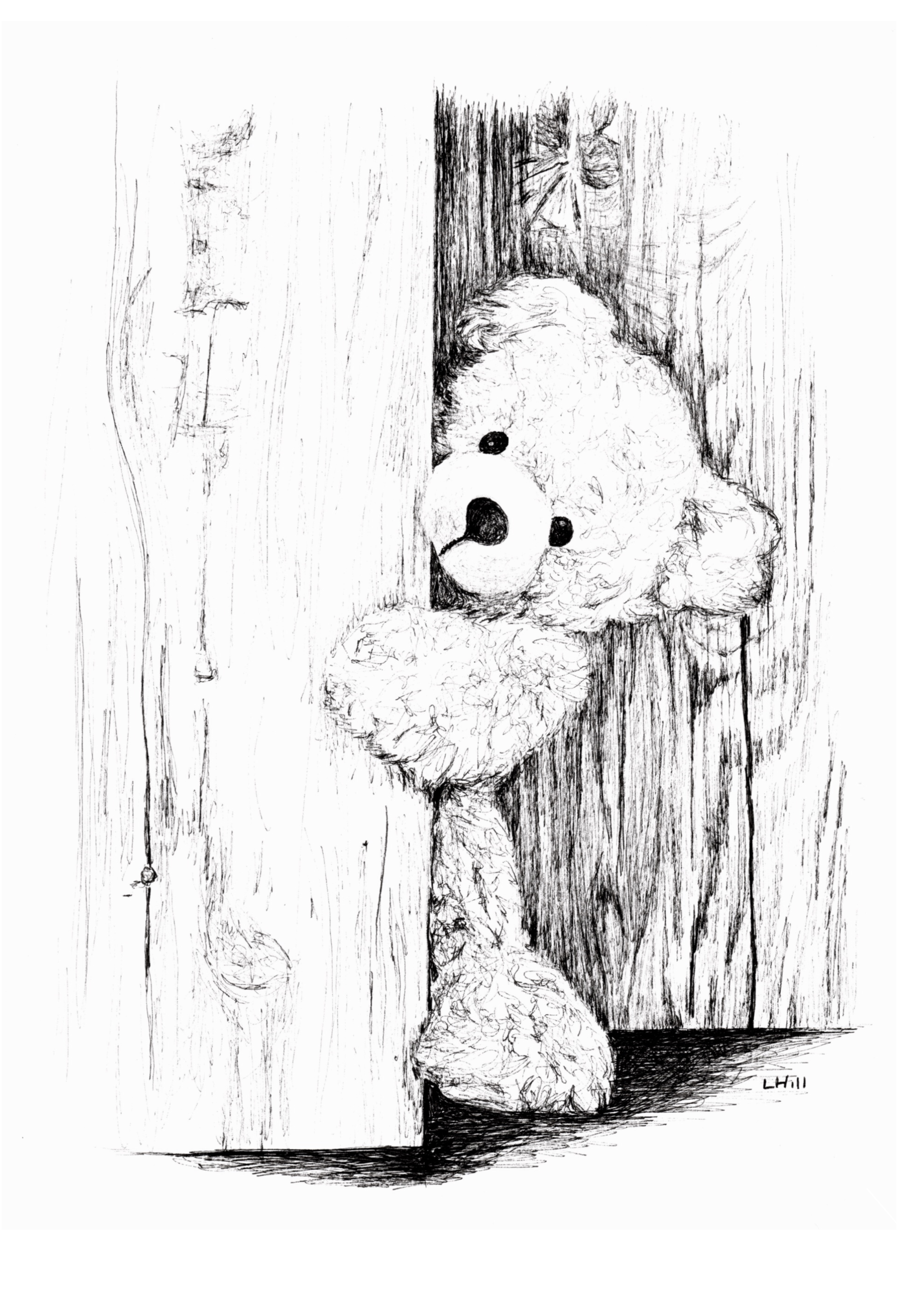 Teddy pen and ink illustration by Louisa Hill