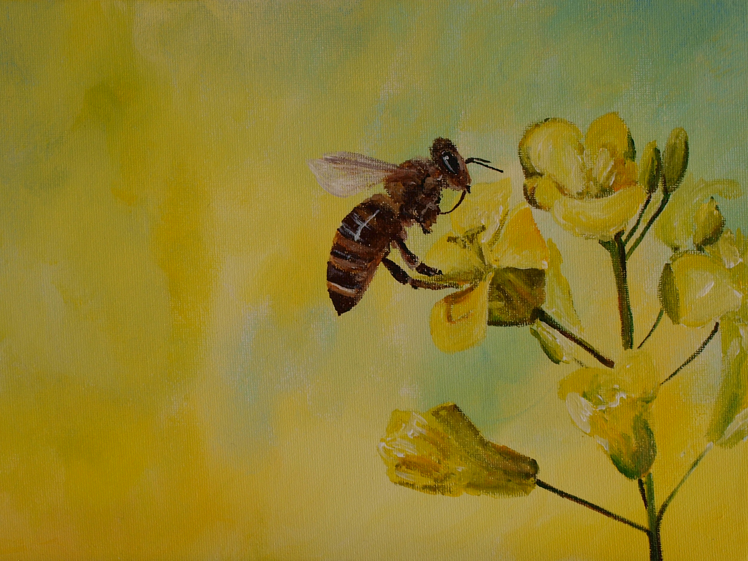 Bee with Yellow Flowers acrylic painting by Louisa Hill