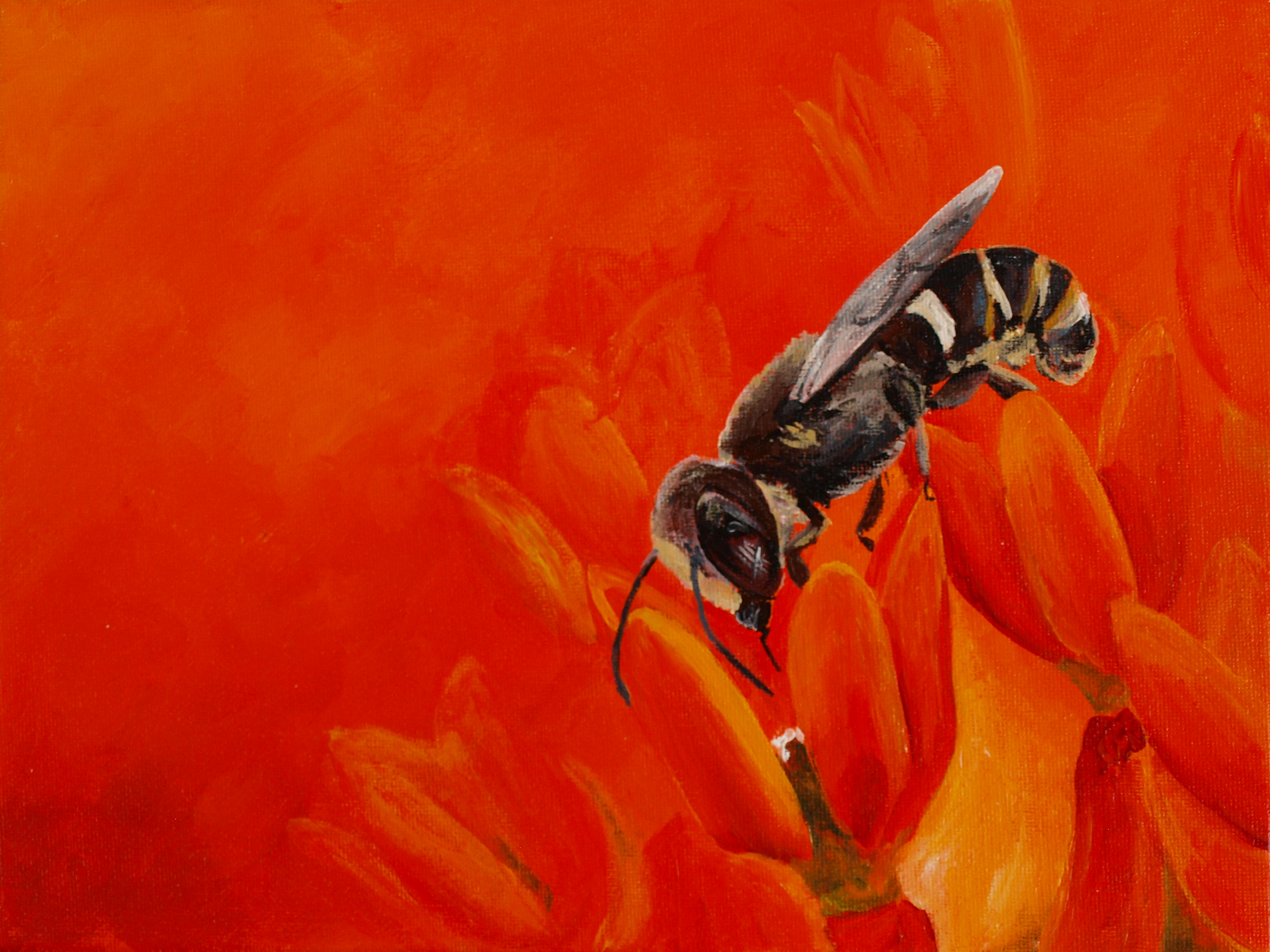 Bee with Orange Flowers acrylic painting by Louisa Hill