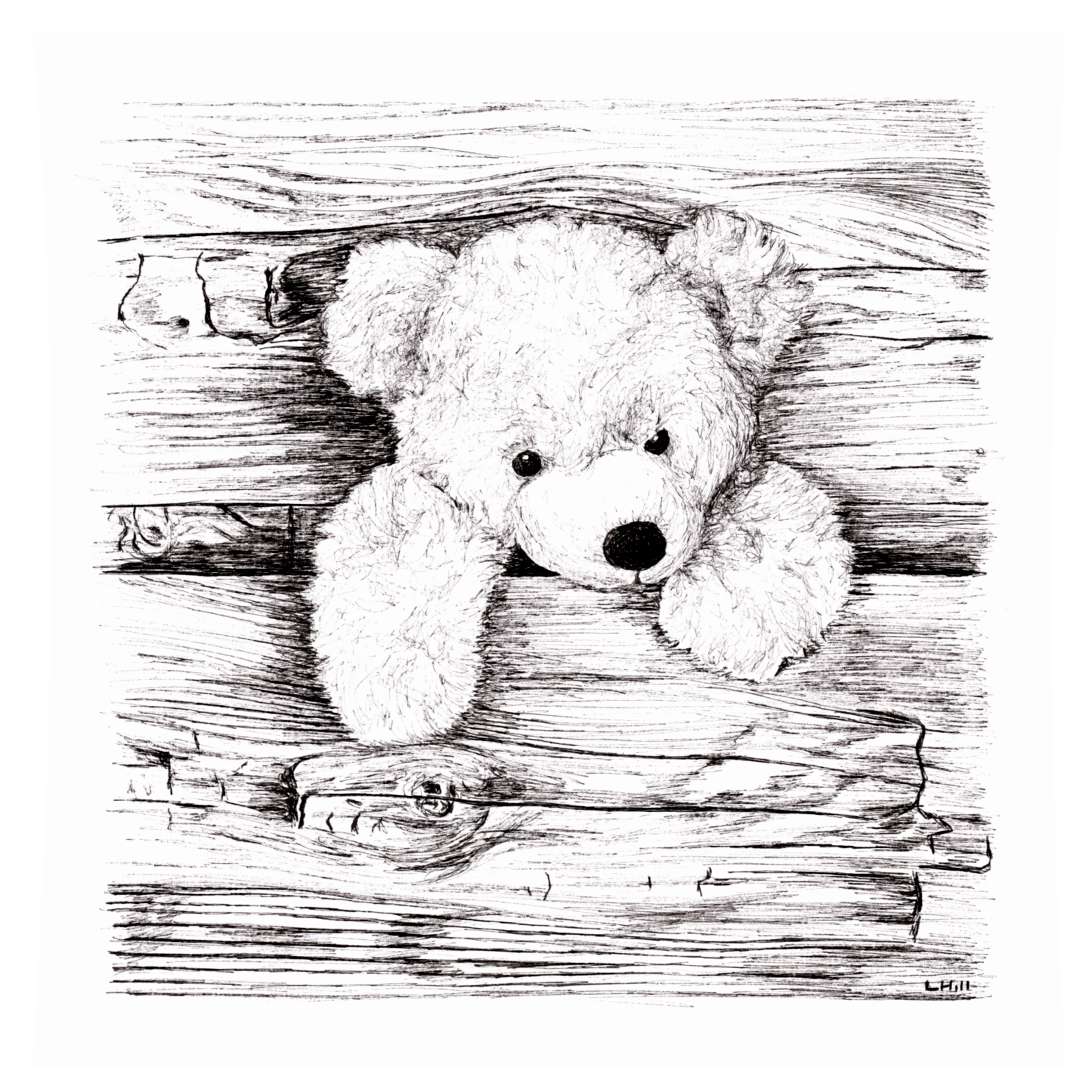 Teddy II pen and ink illustration by Louisa Hill