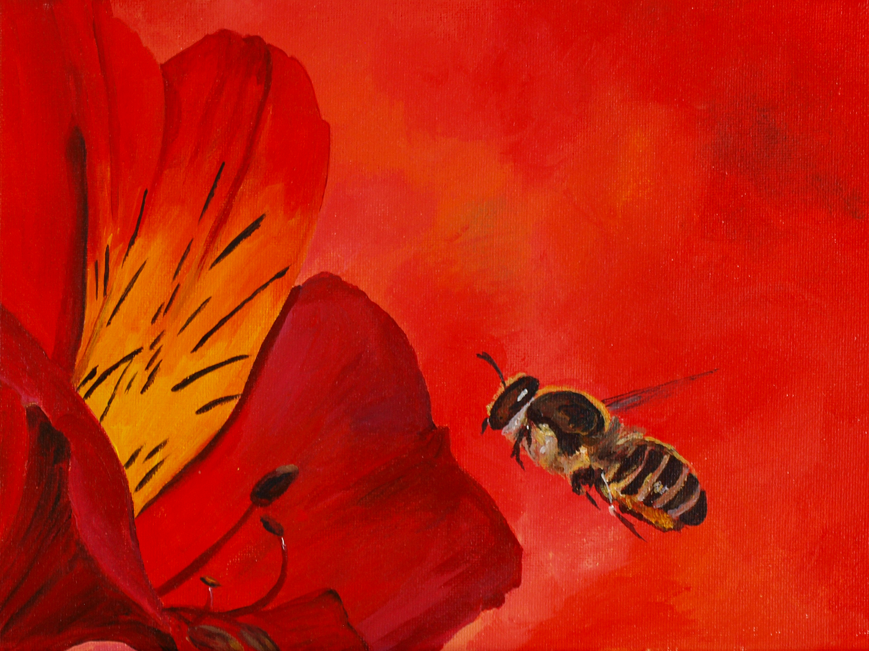 Bee with Red Flowers acrylic painting by Louisa Hill