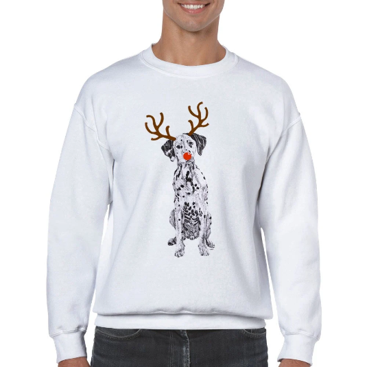 Dalmatian with reindeer antlers and red nose Christmas jumper by Louisa Hill